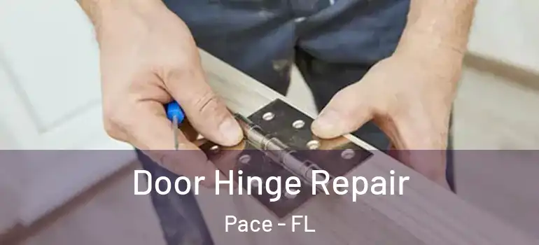 Door Hinge Repair Pace - FL