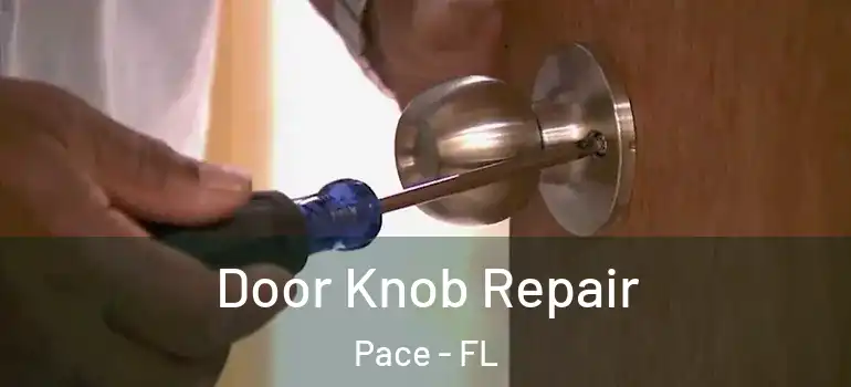  Door Knob Repair Pace - FL