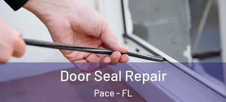  Door Seal Repair Pace - FL