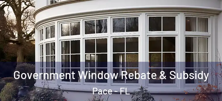  Government Window Rebate & Subsidy Pace - FL