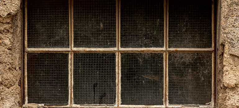 Traditional Double Front Doors in Pace, FL