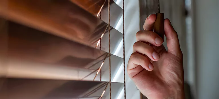 Double Roller Blinds in Pace, FL