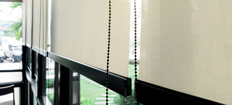 Blackout Window Shades in Pace, FL