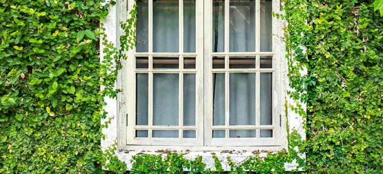 Garden Window Repair Near Me in Pace, FL