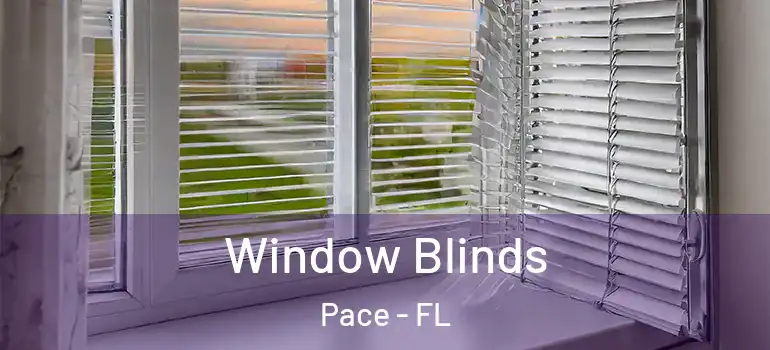  Window Blinds Pace - FL