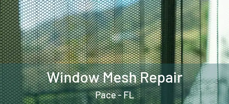 Window Mesh Repair Pace - FL