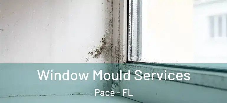  Window Mould Services Pace - FL
